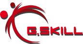 Logo G.SKILL - 01